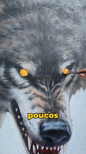 Ele Transforma Um Muro Abandonado | Zoom Selvagem