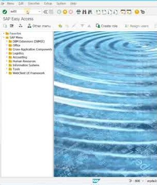Change password in SAP- SU01 #tutorial #sap #support