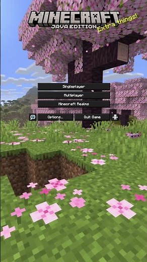 This Custom Texture Pack Changes EVERYTHING #minecraft #shorts