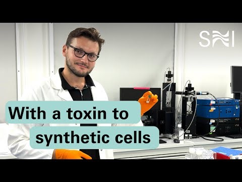 A toxin with an unexpected property – enabling membrane fusion at neutral pH