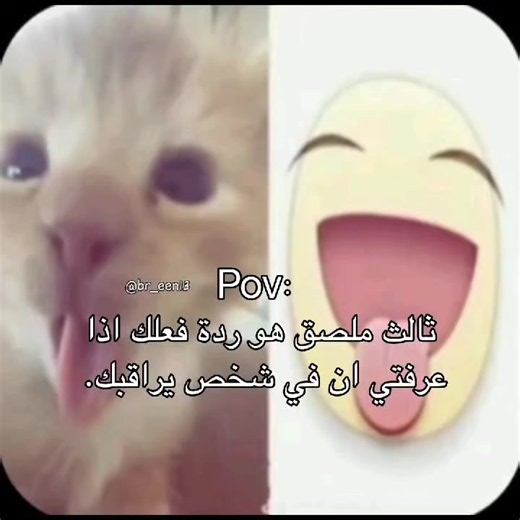 ثالث ملصق هو ردة فعلك اذا عرفتي ان في شخص يراقبك😭😭#برين_اطلق_بلينك #ada_wong #برين_تعشق_ارنوباتها #fypシ #exploreيعد يعد برج المملكة واحدًا من أبرز المعالم المعمارية في مدينة الرياض، ورمزًا حديثًا يعكس تطور المملكة العربية السعودية ونهضتها العمرانية. منذ افتتاحه، أصبح البرج وجهة رئيسية للسكان والزوار، ليس فقط لارتفاعه المميز، بل أيضًا لما يقدمه من مرافق متنوعة وتجربة فريدة. تم افتتاح برج المملكة عام 2002، وهو مشروع تابع لشركة المملكة القابضة التي يملكها الأمير الوليد بن طلال. يبلغ ارتفاع البرج 
