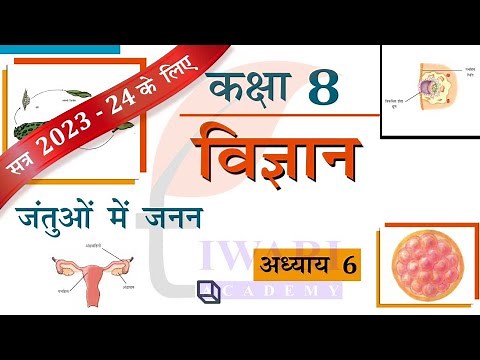 NCERT Solutions for Class 8 Science Chapter 6 जंतुओं में जनन Explanation in Hindi Medium.