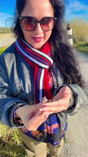 Play with Dragonfly during Peninsula walk
