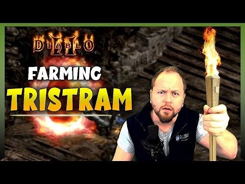 Coooley Farms Tristram with Uber Smiter | Diablo 2 Smite Build
