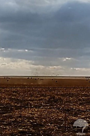 Brief Spin-Up Tornado in Eastern Colorado - April 26th