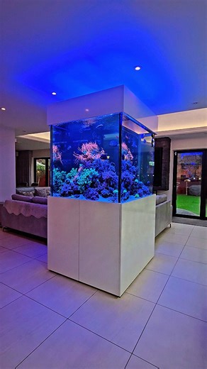 Chris Pilkington | Stunning centerpiece reef aquarium 💎❤️🪸 Custom aquarium build and design specialists ✅️ Aquarium installation/maintenance specialists ✅️... | Instagram