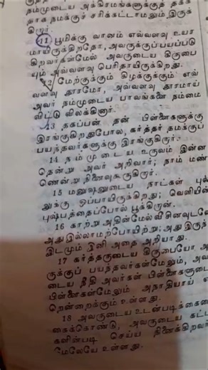 Promise Verse | Psalm 103:11 #shorts#jesus#bible#psalm#biblestudy