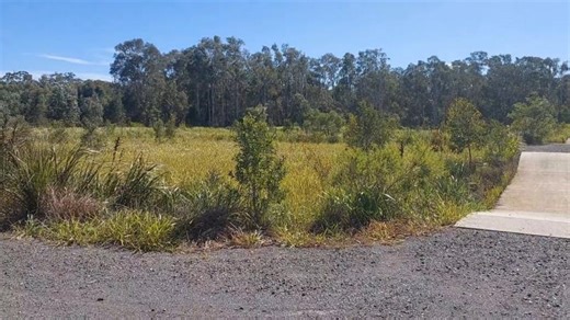 WSUD 6 - Very large bioretention | Jack Mullaly