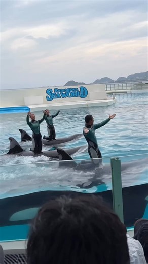 stella_lov◡̈*♡ on Instagram: "尊い光景。。 BENIのこの曲好き 本家のモンパチもすき 『小さな恋のうた』 2025.9.14 16:30 #鴨川シーワールド #kamogawaseaworld #鴨シー #シャチ #orca #killerwhale #水族館 #aquarium #ラビー#Lovey #ララ#Lara #ルーナ#Luna"