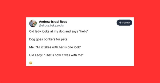 28 Of The Funniest Posts About Cats And Dogs This Week (Dec. 20-26)