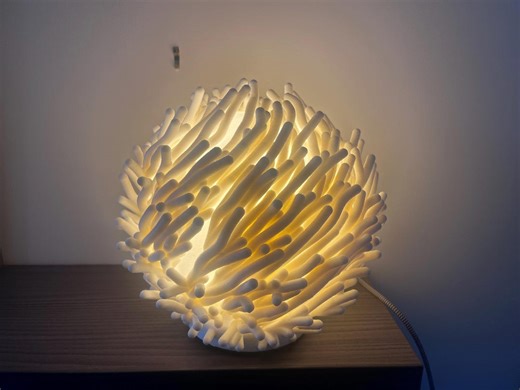 Coral Designer Table Lamp Ø25 Cm – 3D Printed PLA Lamp – Modern Decorative Light Fixture – Handcrafted - Etsy