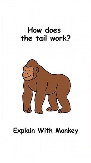 Ever wondered how a monkey’s tail actually works? 🐒