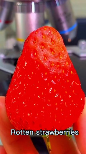 Exploring the Hidden World of Strawberries Under a Microscope