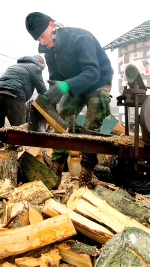 Log Splitter #logsplitter #firewood
