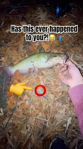 Never had this happen before!!😂 #stripedbassfishing #catfish #pov