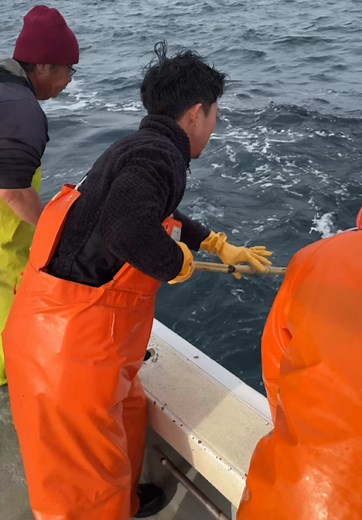 漁船の大漁！仲間と共にイカナゴを釣る日常