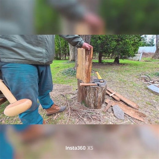 Fallen tree ➡️ usable wood in seconds 🪵🪓 #woodworking #wood #woodturning #chainsawman