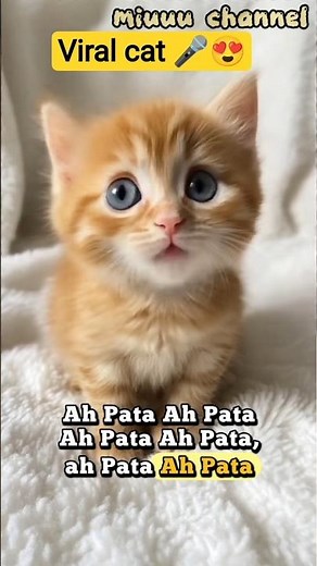Cutest Orange Cat Singing Ever!😍 #catlovers #catfunny #cat #viralshort #fypシ