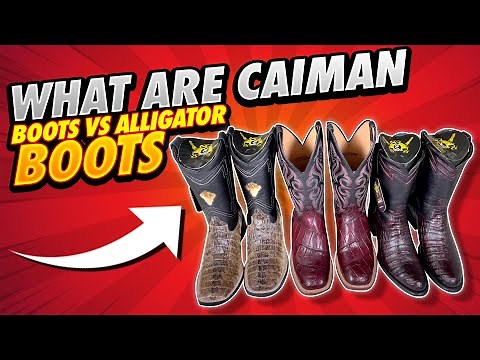 What Are Caiman Boots Vs Alligator Boots
