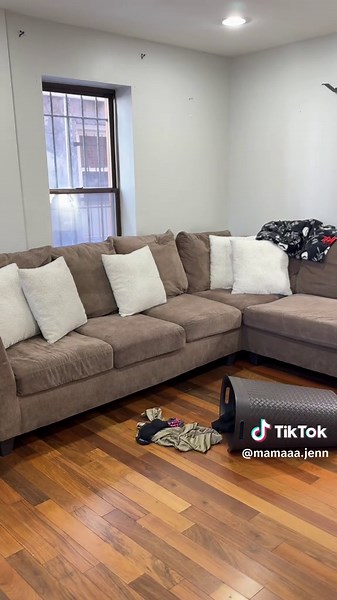 Living Room Reset Journey: Daily Cleaning Motivation