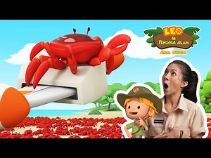 Kepiting Merah Pulau Natal 🦀 | Leo Si Penjaga Alam | #minisode