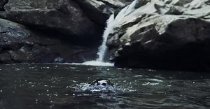 159K views · 1.8K reactions | Uniforms for week 1 #BeatUNCC | App State Football | Facebook