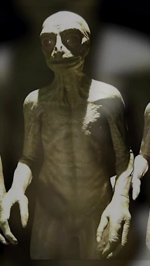 #alien #aliens #alienz👽 #alienabduction #alienspecies #alienspecie #higherbeing #higherbeings #reptilian #reptilianshapeshifters #shapeshifters #paranormal #theunexplained #unexplained #extraterrestrial #spooky #supernatural #alientheory #alientheories