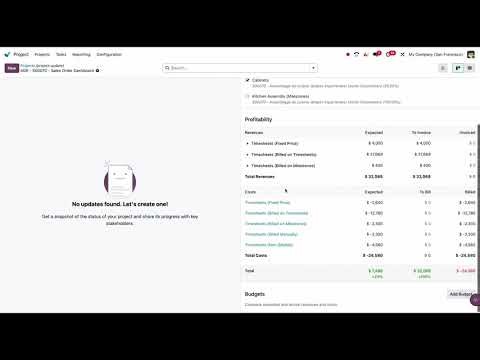 Odoo 19 Project Module Dashboard