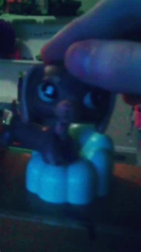 lps is my thing😎 (@lps_oi)’s videos with original sound - ⠀⠀⠀⠀