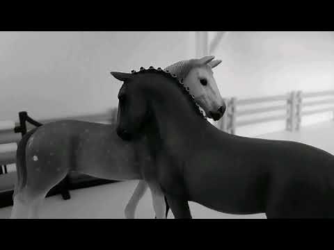 Attention-schleich music video