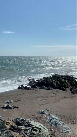 Gazing at Waves, Rocky Beach 🌊