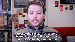 Misconceptions about evolution