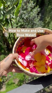 How to make your own Rose Water! #holistichealing #rosewater #diy #herbalism