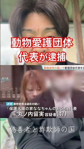 動物愛護団体ななちゃんのおうち代表が逮捕された。