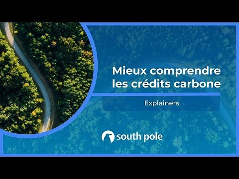 Mieux comprendre les crédits carbone