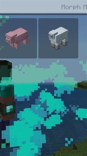 transport form animal in Minecraft #lkyr gaming studio