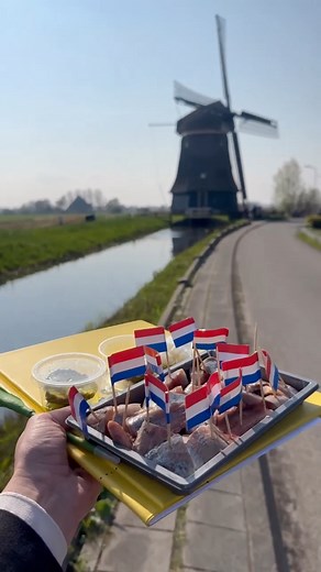 Take a glimpse of our 'Glimpse of Europe' tour! Enjoy the mesmerising landscapes and rich heritage and flavours of Europe on this wonderful one week Europe tour from Amsterdam to Paris. 🌍 From the lush green Dutch countryside, to the stunning shores of Lake Lucerne, to the Parisian glamour of the 'City of Lights', get a taste of the diversity that makes this continent a favourite holiday destination. Want to start your European adventure? Visit: https://bit.ly/3YDtCV8 ✈️ 📹 annerieketd on Insta