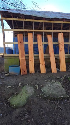 Siding Installation on Barn Wall for Chicken Coop