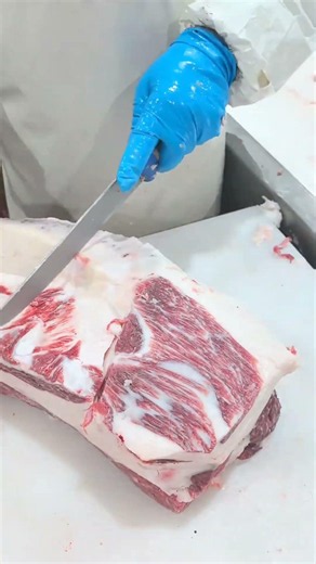 Modern hygienic beef processing workshop with neat standardized cutting