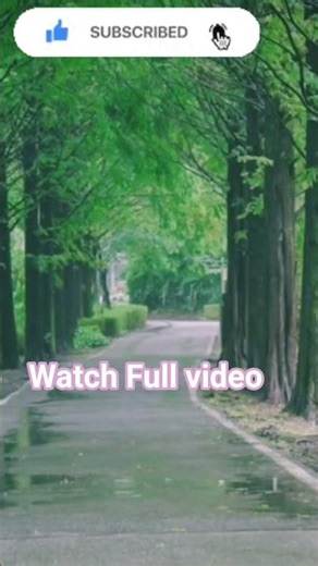 Peaceful Relaxing Rain Sounds For Sleeping 🌿Stop Over thinking, Stress Relief Sounds, Calming Sound