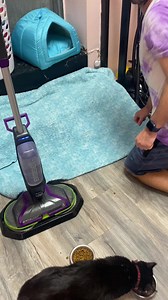 5.3K views · 208 reactions | This week we received a few more cats...