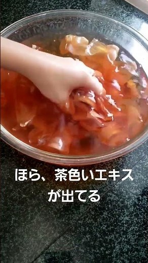 玉ねぎの皮で有機液体肥料を作る#害虫忌避効果 も#家庭菜園 #サスティナブルライフ #shorts #自然農薬#手作り肥料 #プランター栽培 #オーガニック野菜