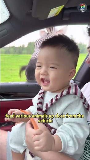 Looking for the best family activities in Shanghai — all in one trip? 👨‍👩‍👧‍👦🇨🇳