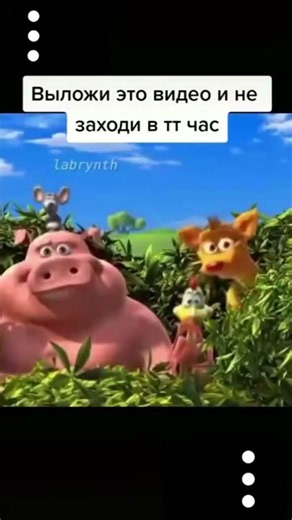 МЕМ:польская корова танцует под песню