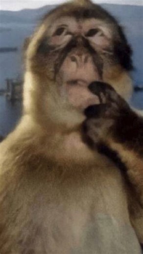 ShReYa | ITS A ONE TAKE! Could've done much better 🥀🥀 Choreography by @nawfel_lgnnn WANTED TO DO THIS FOR SO LONG SKSK #fyp... | Instagram