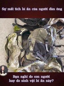 3.3M views · 10K reactions | Sự m.ất t.í.ch bí ẩn của người đàn ông Bạn nghĩ do con người hay do sinh vật bí ẩn này? #vivochanel | Vivo Channel | Facebook