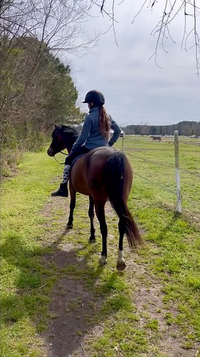 3 comments | Fun times this week with the ponies! It finally feels...