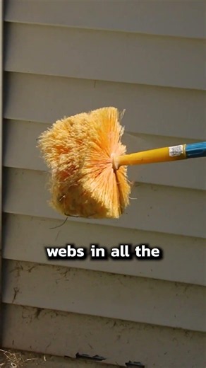 Easiest Way to Clean Spider Webs!