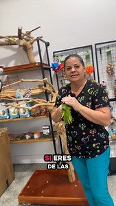 9.1K reactions · 322 shares | Quaker parrot. | PETGrove bird store. | Facebook