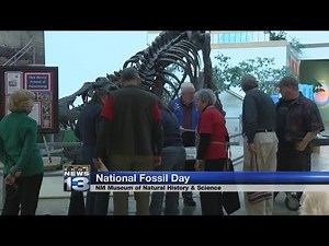 Paleontologists celebrate National Fossil Day at NM Natural History Museum
